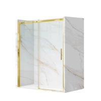Porte de douche coulissante Balneo Porta – Or 100 cm